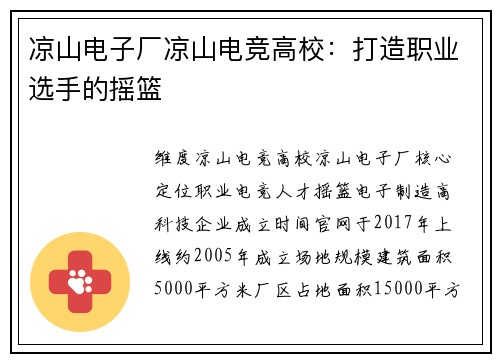 凉山电子厂凉山电竞高校：打造职业选手的摇篮